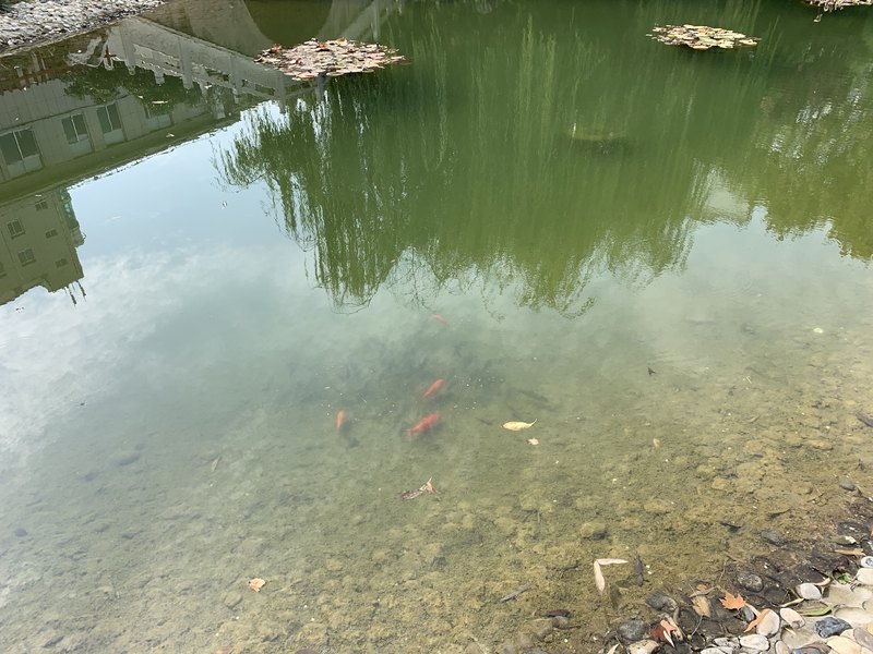 圖文圖片