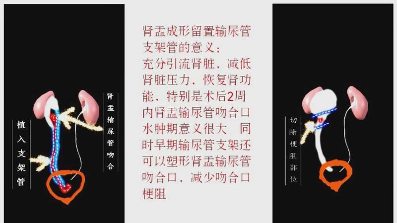 圖文圖片