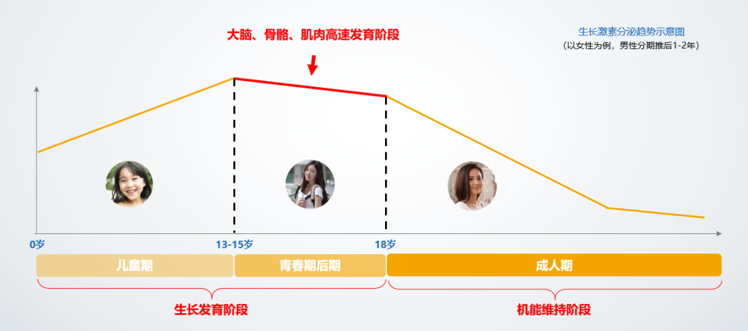 青春期后期持续缺乏生长激素 后果有多严重?