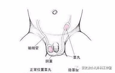 暂无