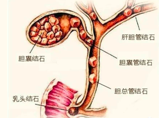 圖文圖片
