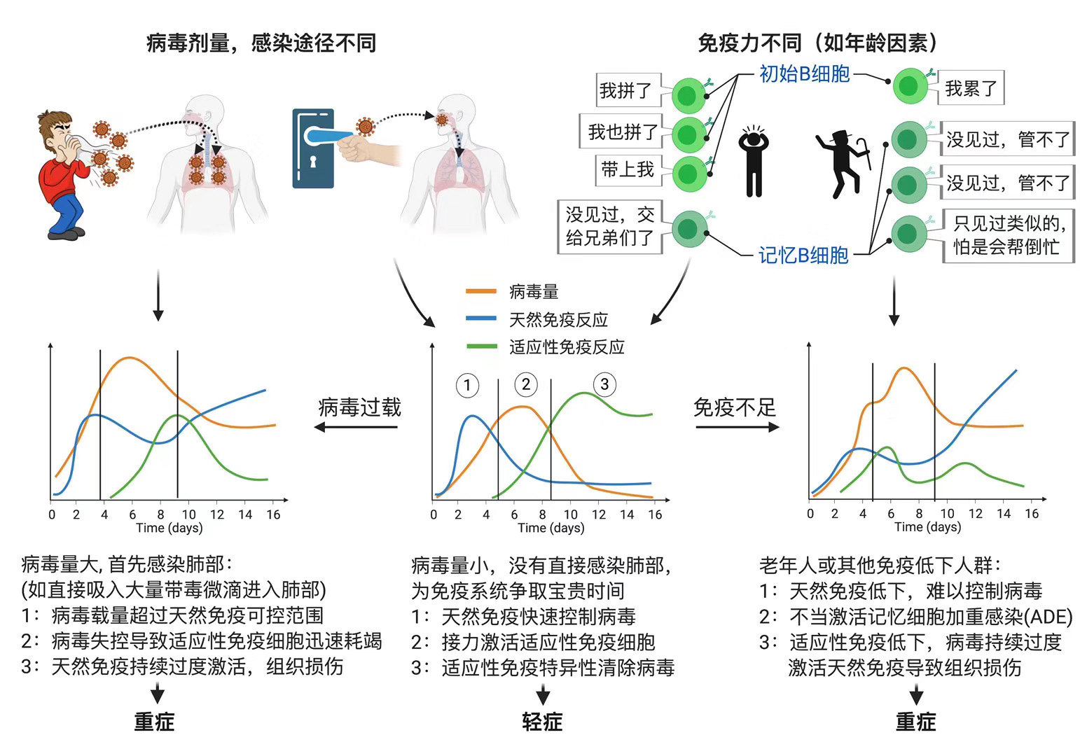 暂无