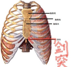 暂无