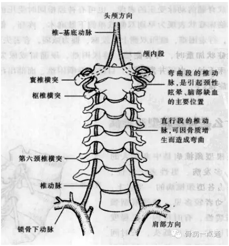 其中枕大神經病變是引起頭痛的主要原因.