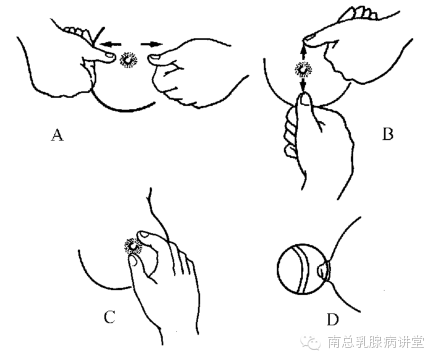 二胎时代到来