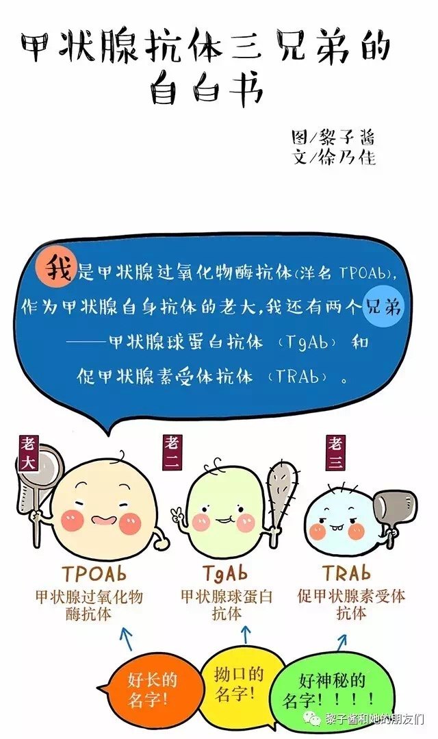 甲状腺微粒体抗体 www.haodf.com
