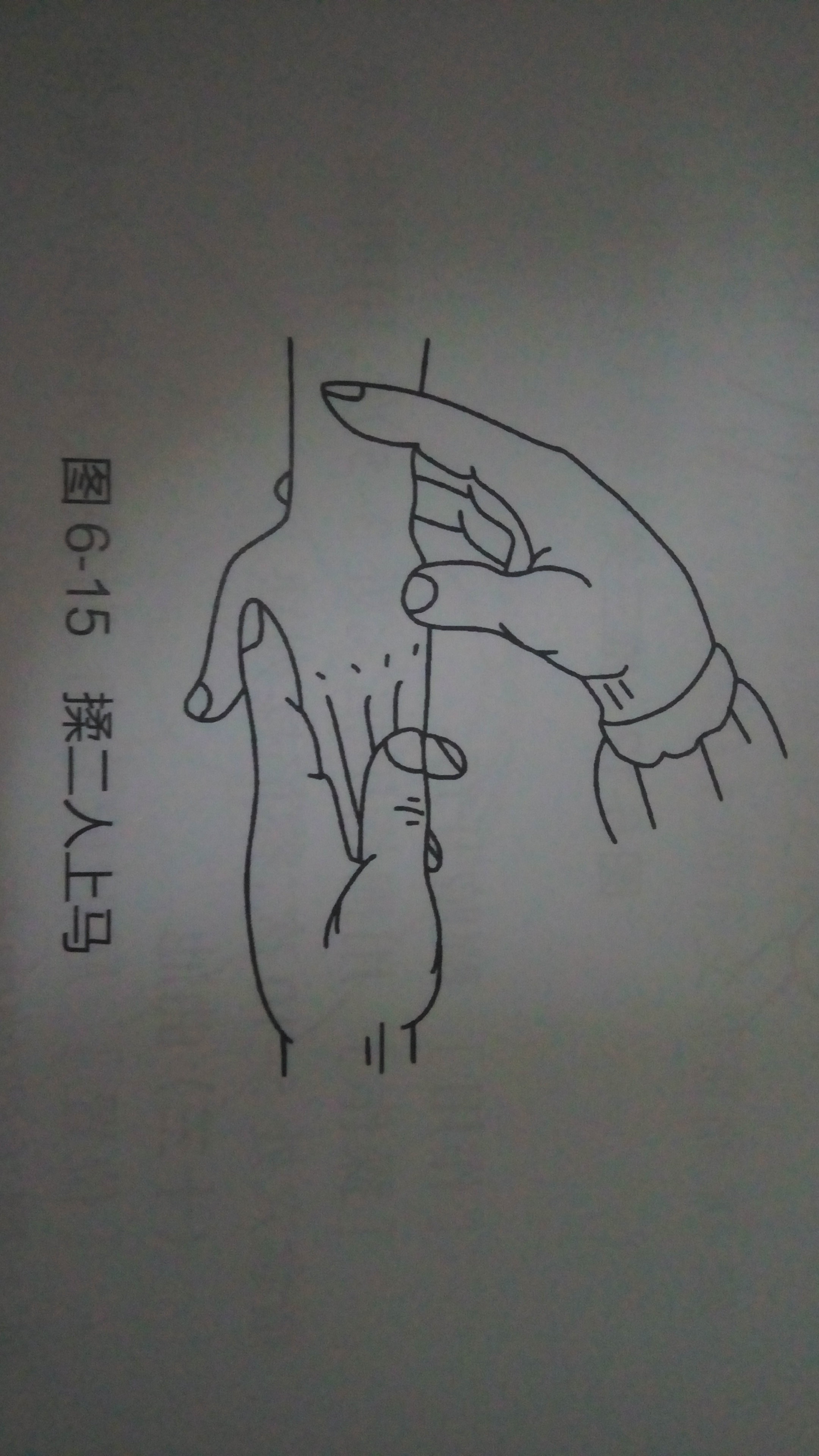 暂无
