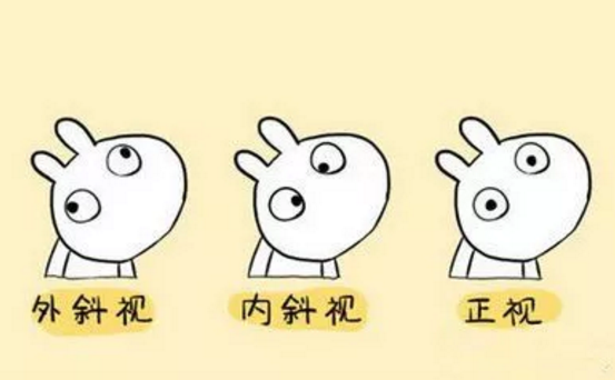 高度近视易引起并发症