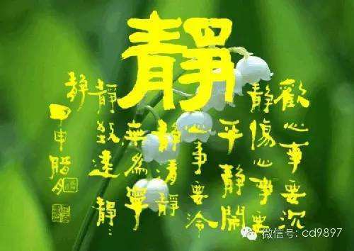 暂无