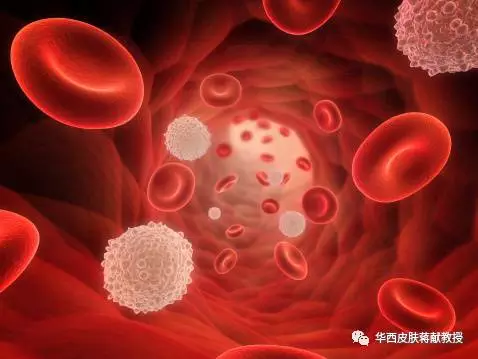 暂无