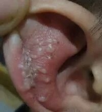 暂无