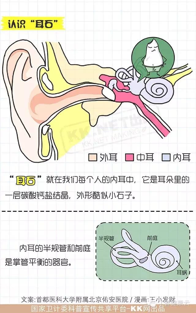 耳石症症状有哪些表现图片