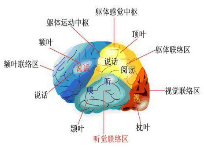 脑梗塞中风的原因及治疗