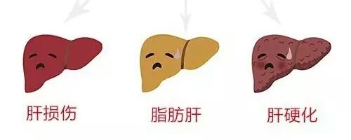 暂无