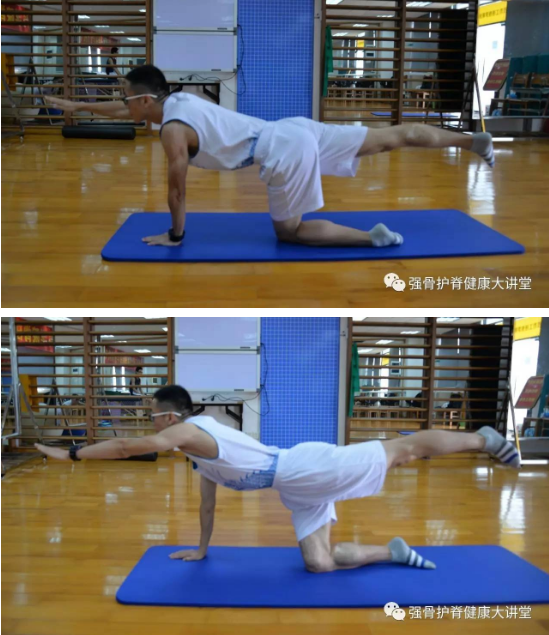 (辅助矫正驼背,骨盆前倾)