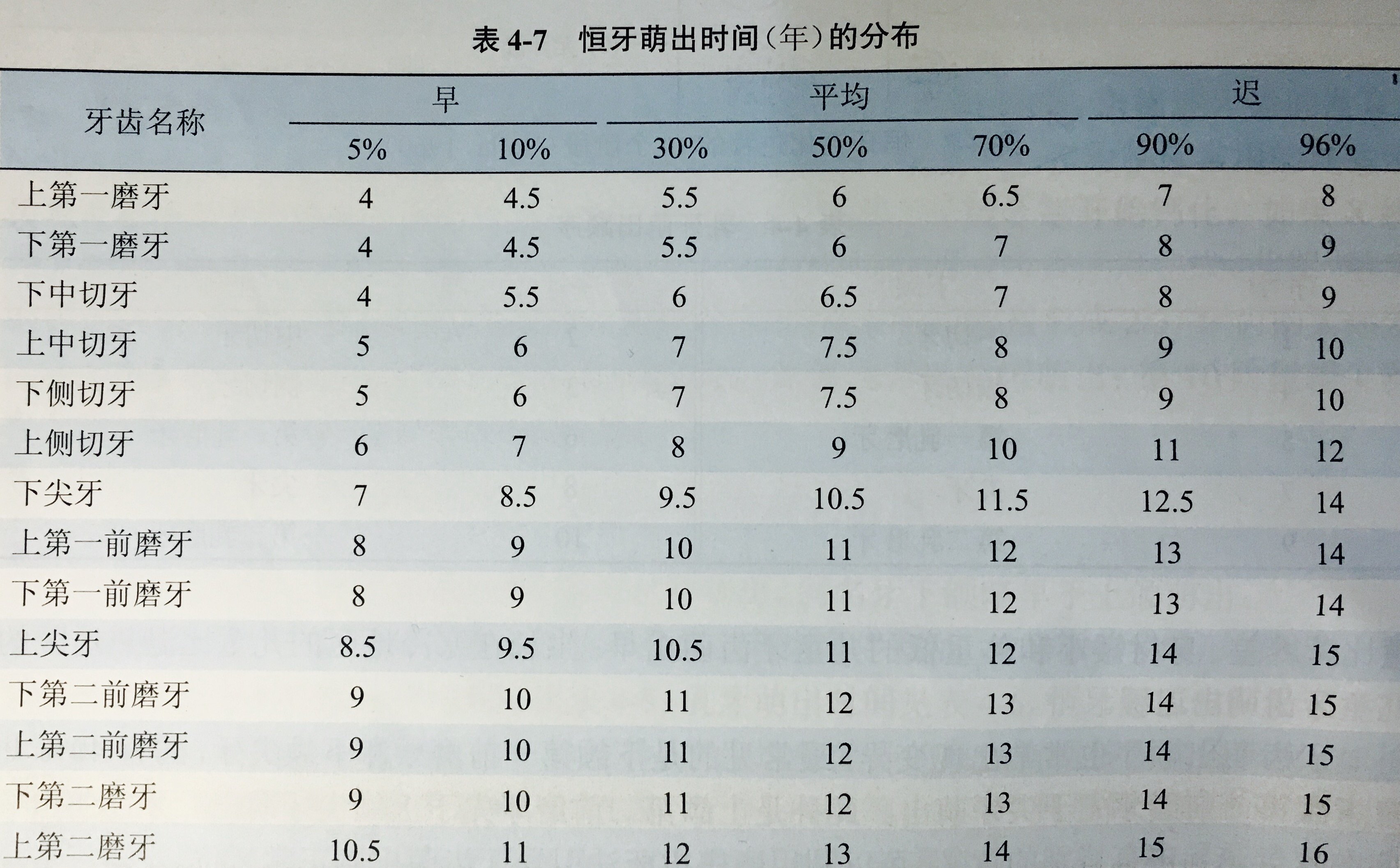 尖牙几岁换图片