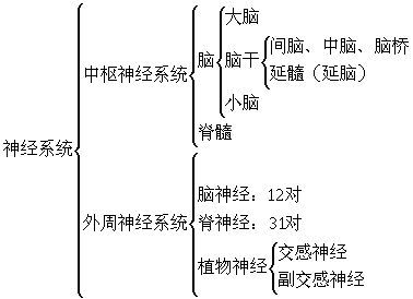 神经内科是看什么病的?