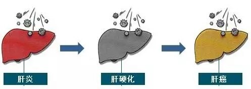 暂无