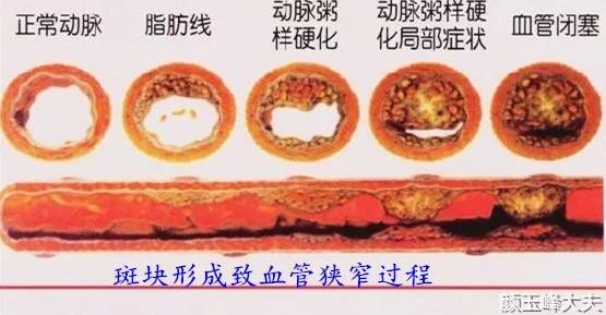 暂无