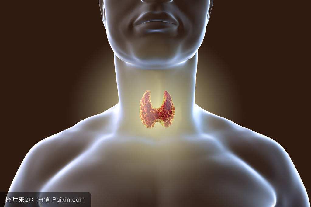 所谓的甲状腺结节,说的就是在影像学检查中与周围正常组织结构不偷哪