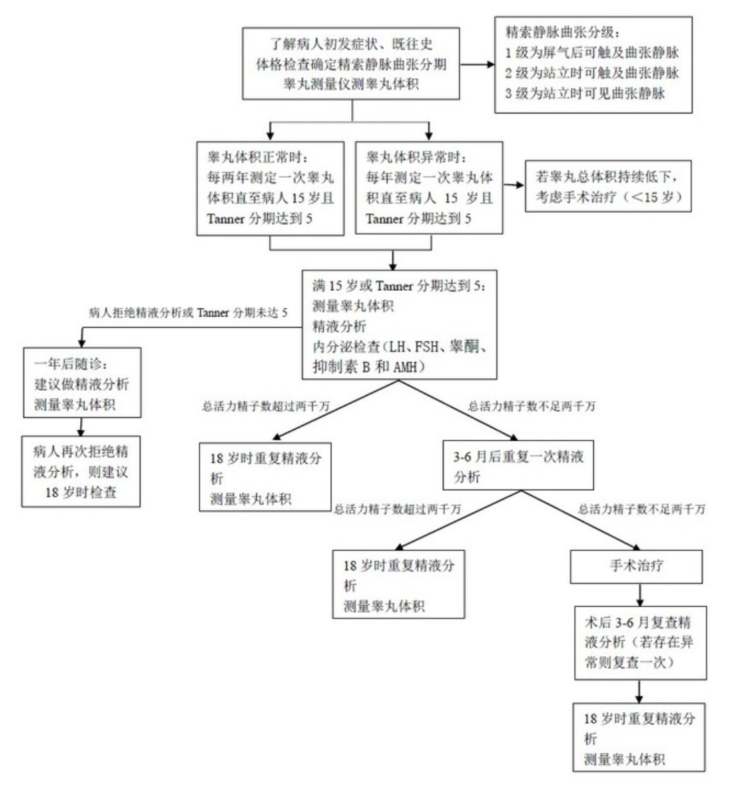 男tanner分期图图片