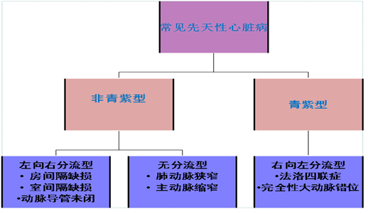 先天性心脏病分类表格图片