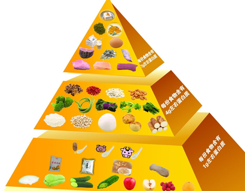 慢性肾脏病(ckd3-5)的低蛋白饮食指导