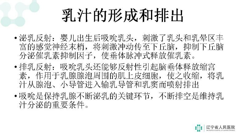 乳汁的生成和排出 - 好大夫在线