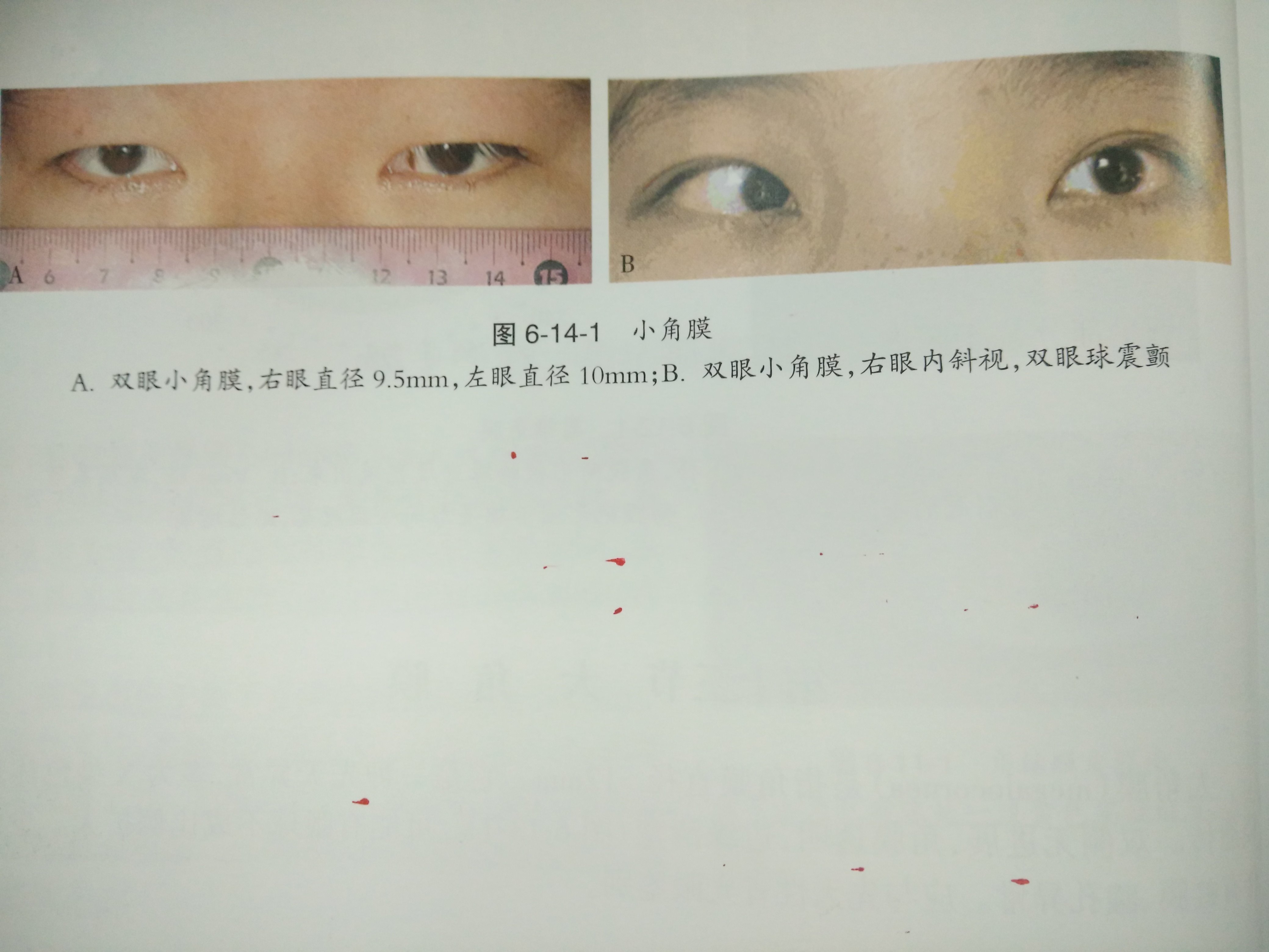 暂无