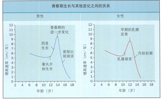 青春期孩子的身高增长规律 - 好大夫在线