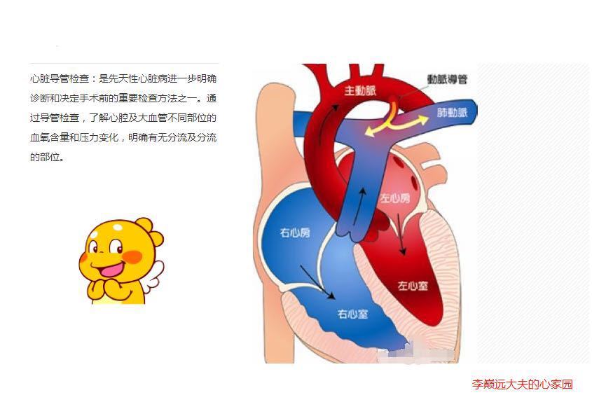 我做了心电图,还要做心脏彩超吗?_心脏病_检查_相关疾病 - 好大夫在线