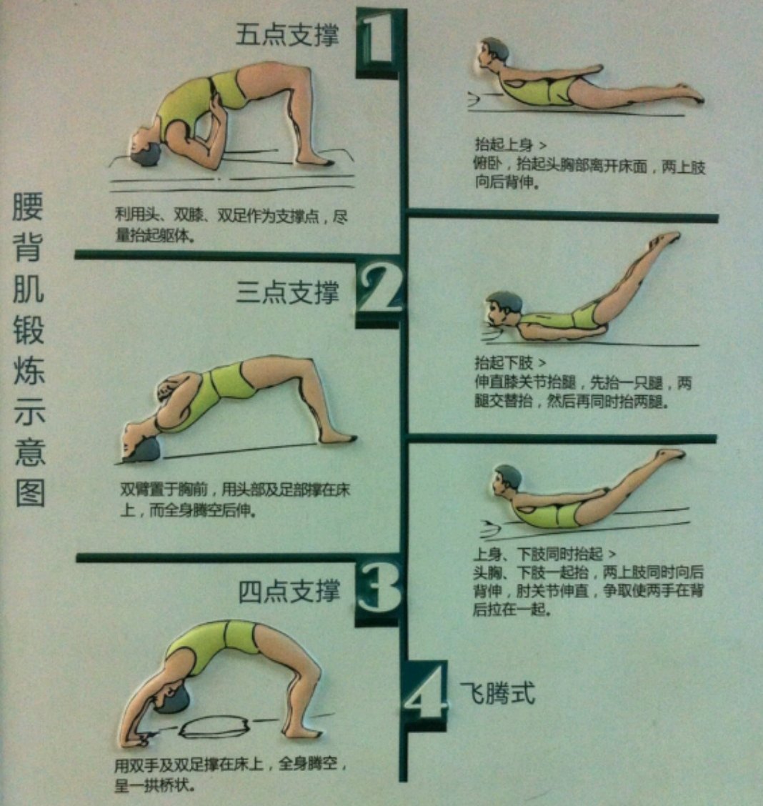 腰背肌锻炼 好大夫在线