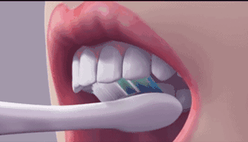 暂无