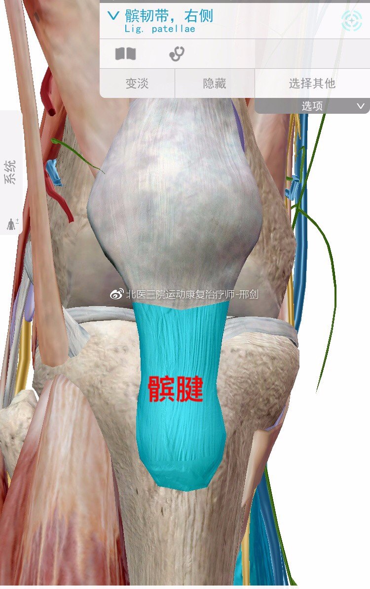 髌腱断裂缝合术后康复方案 参考版 膝关节损伤 康复