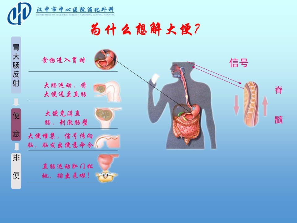 便便那些事