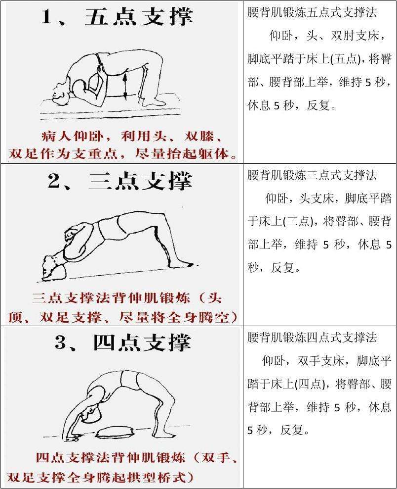 腰背肌锻炼介绍 三点支撑 四点支撑 五点支撑 好大夫在线