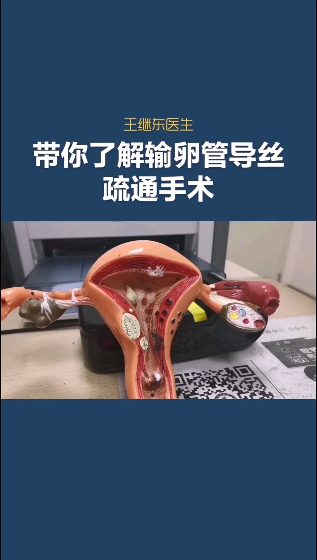 默认图片