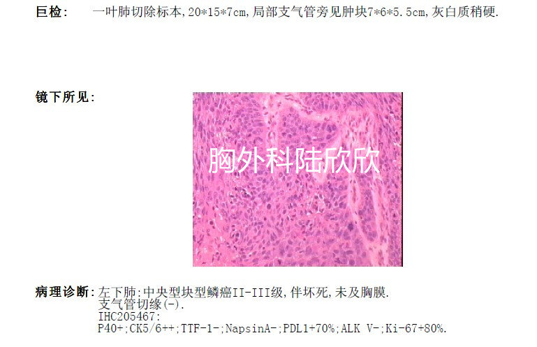 病理水印.jpg