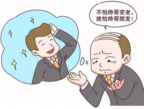 有没有用呢?_脱发_脱发缓解方法 - 好大夫在线