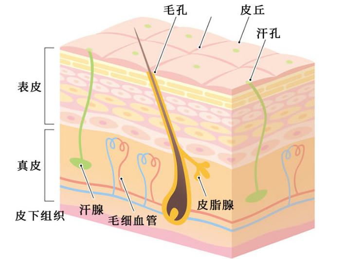 微信截图_20211110141005.png