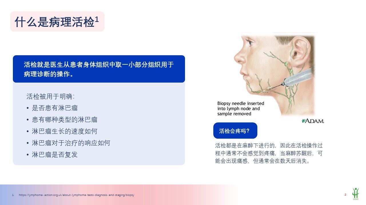 幻灯片2.JPG