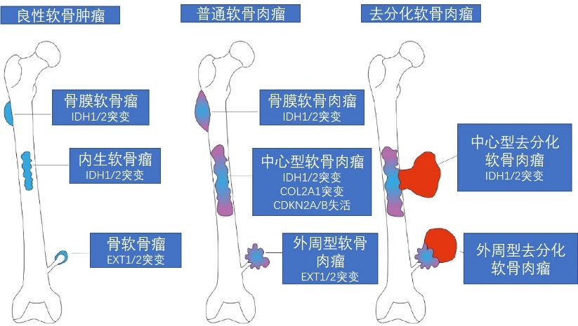 圖文圖片