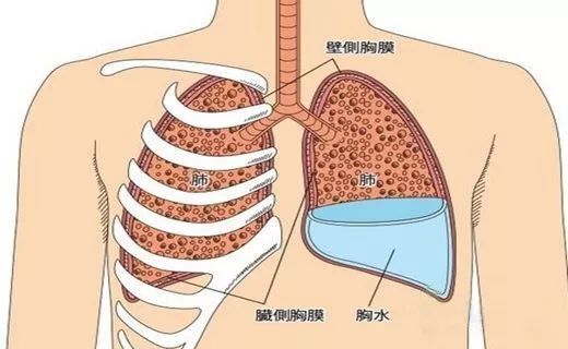 图文图片