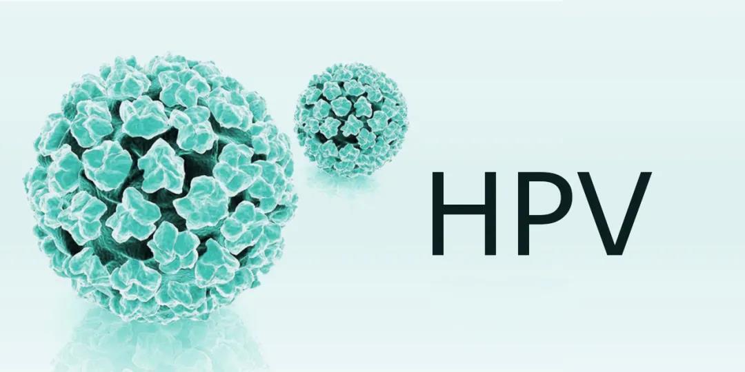 感染了hpv=性生活不檢點?