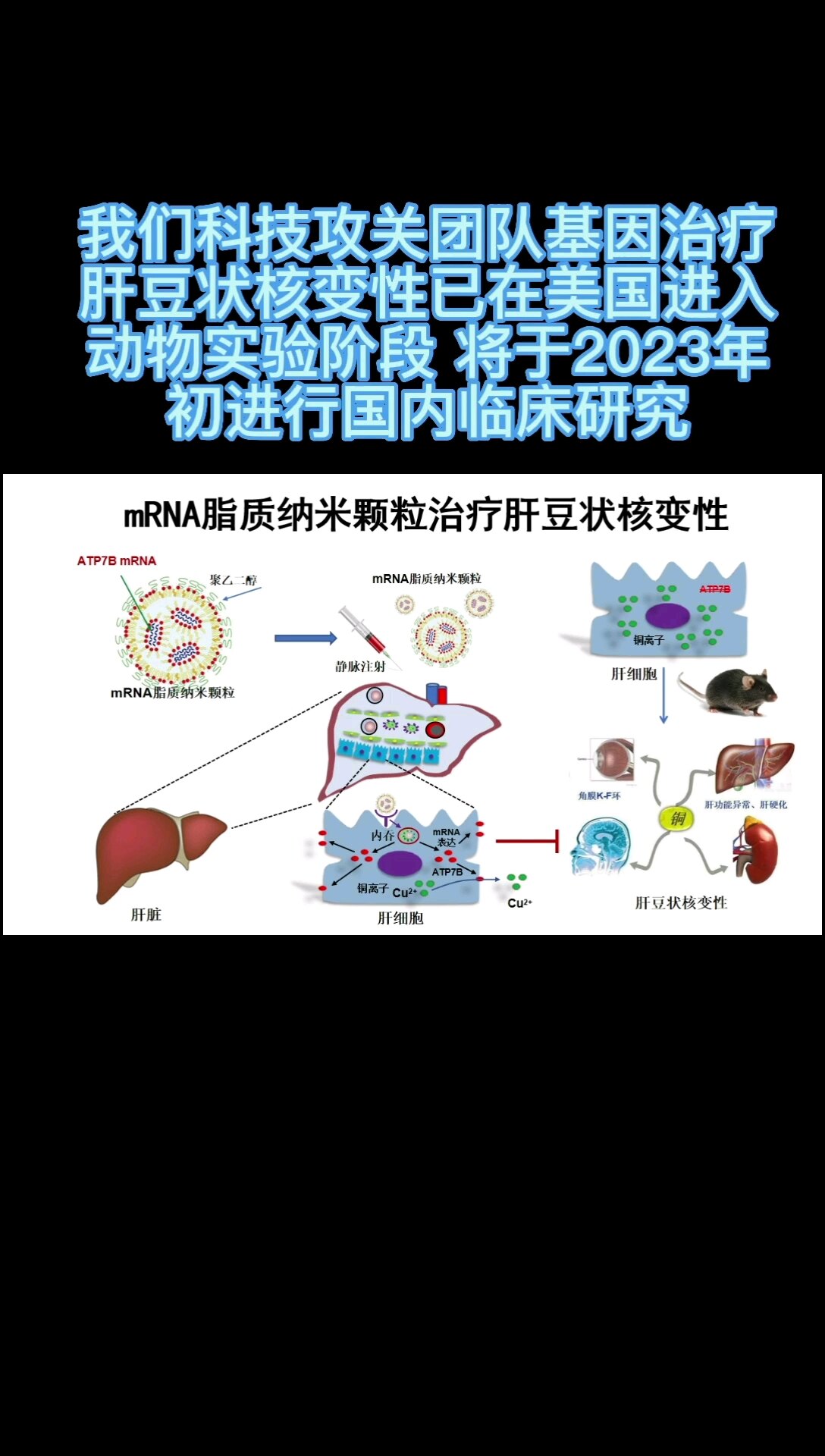 默认图片