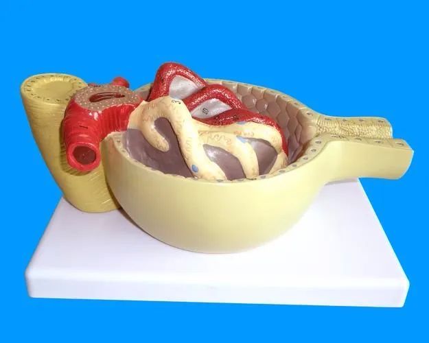 圖文圖片