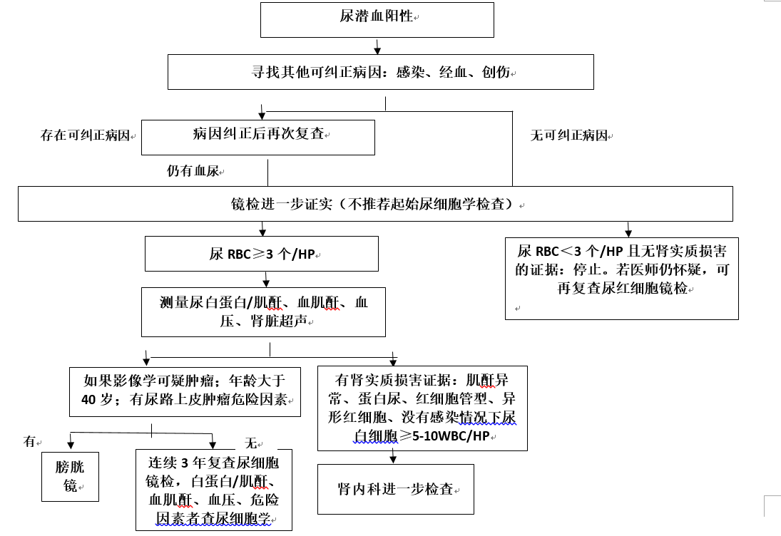 尿潜血阳性诊断流程图