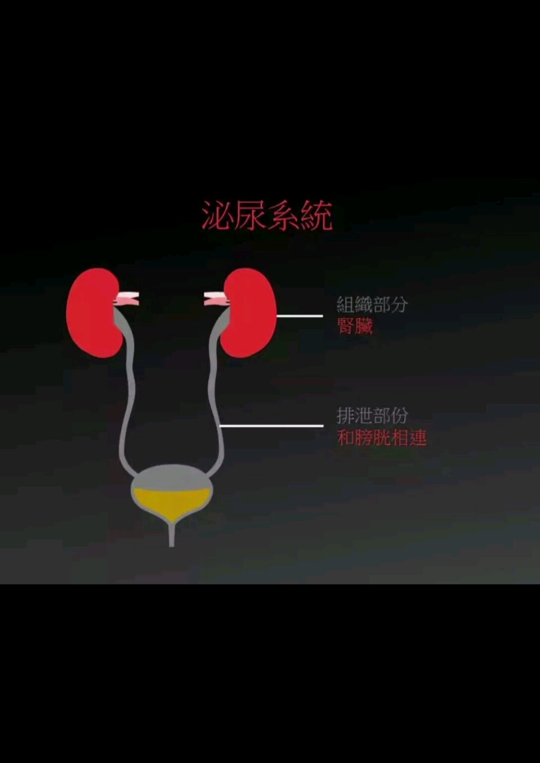 默认图片