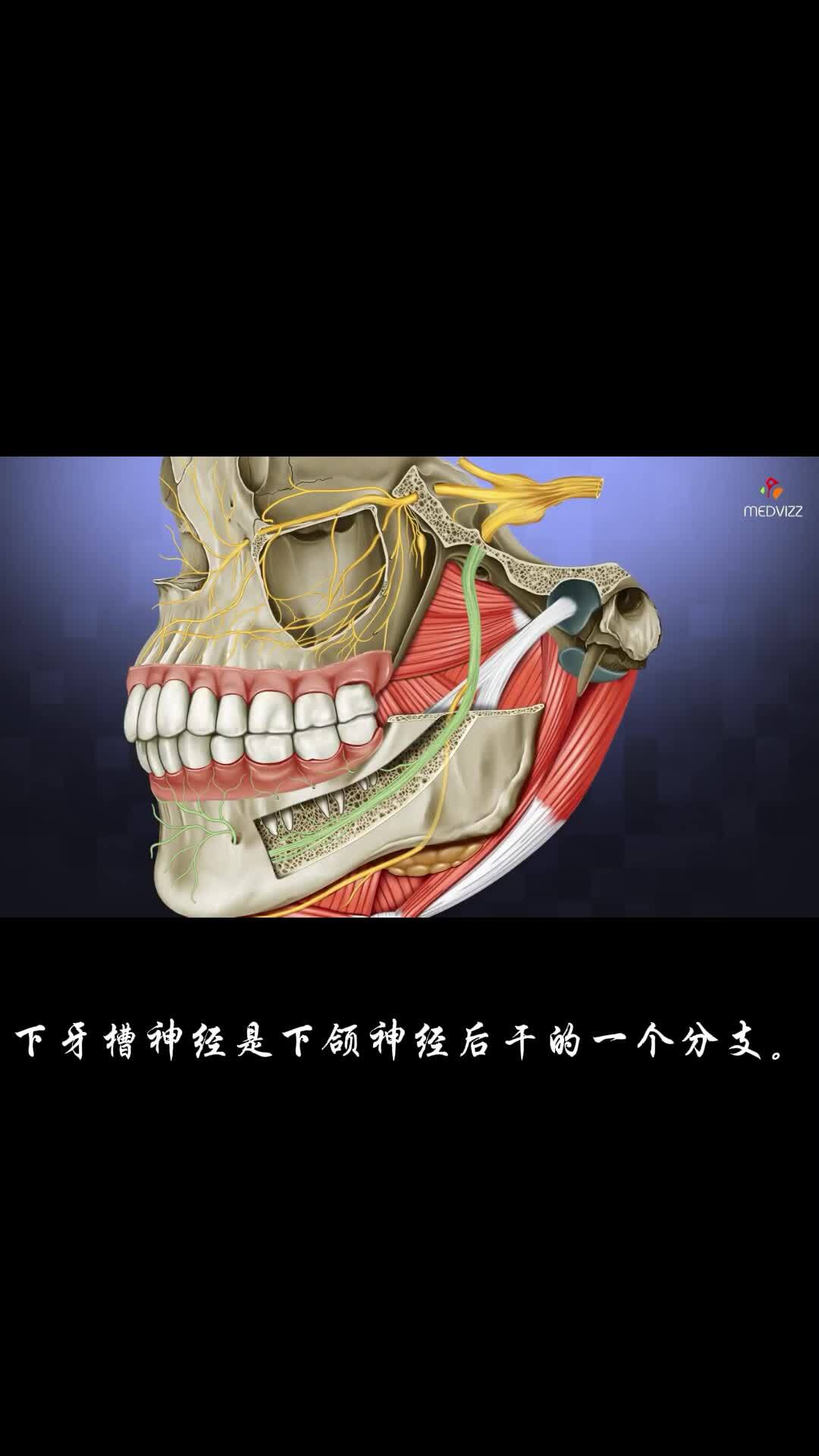視頻封面