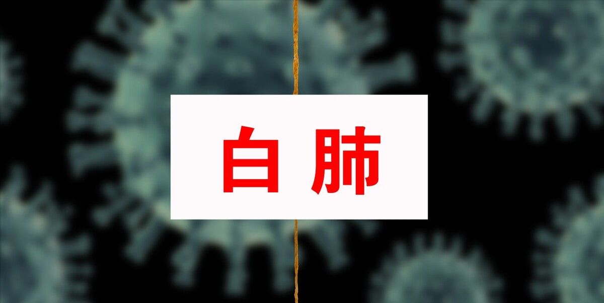圖文圖片
